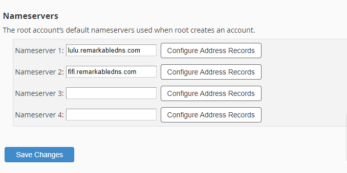 Custom DNS