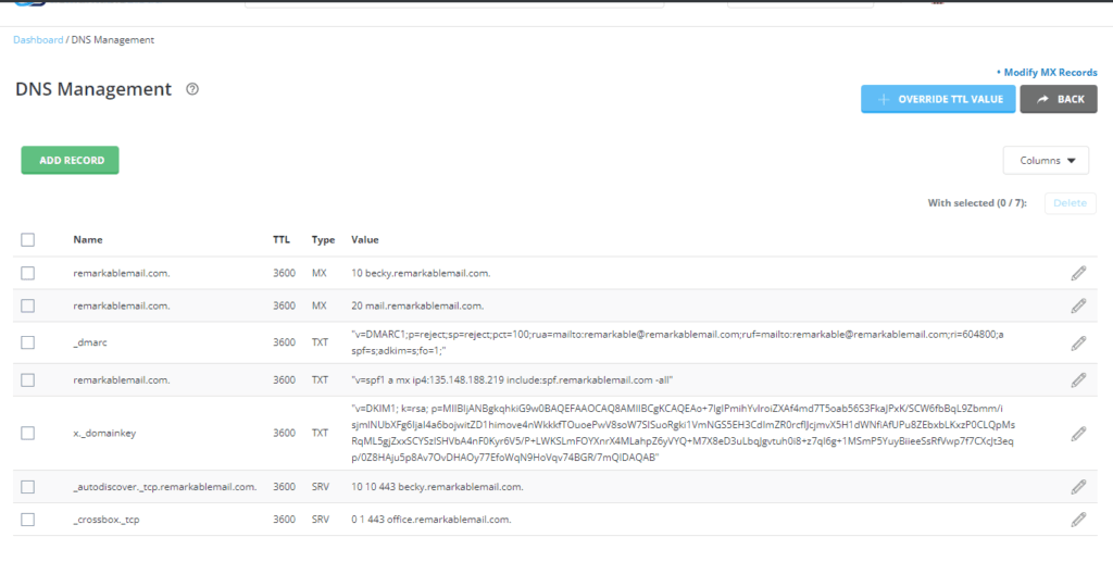 Setting DNS Records 1 dns records Business Email